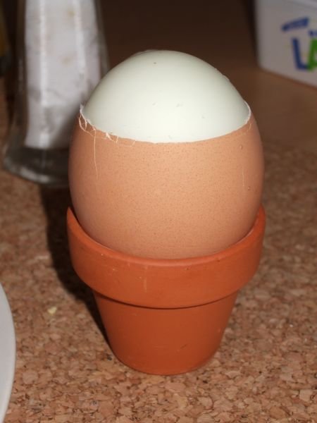 03.10.2006 - 11:15:23