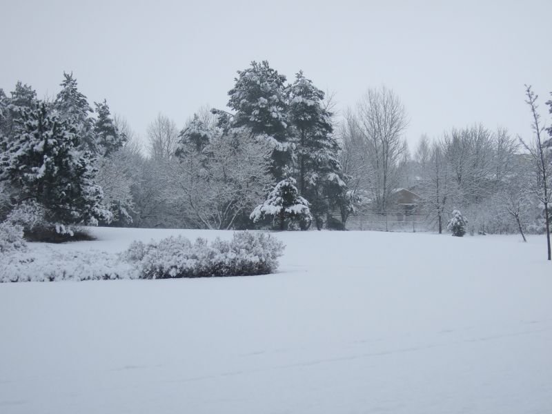 09.02.2007 - 14:14:49