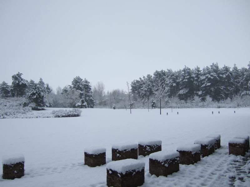 09.02.2007 - 14:15:11