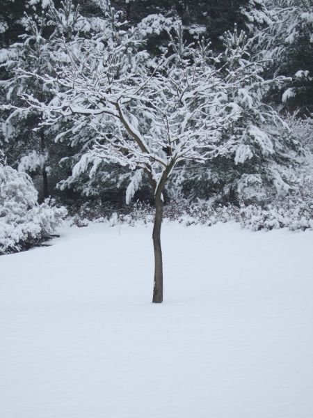 09.02.2007 - 14:16:57