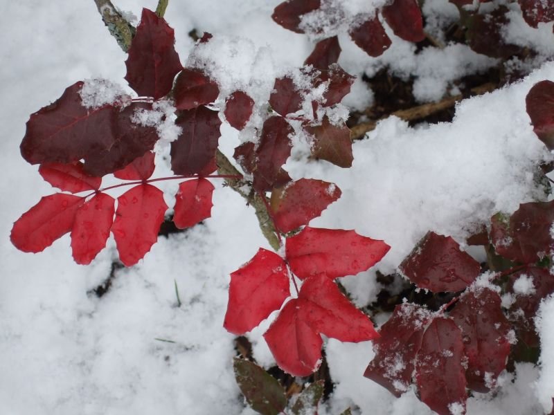 09.02.2007 - 14:23:32