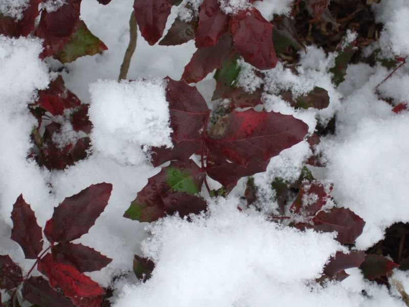 09.02.2007 - 14:23:43