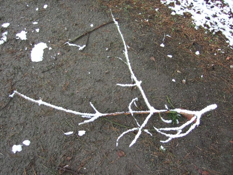 09.02.2007 - 14:26:02