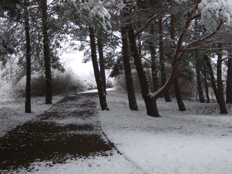 09.02.2007 - 14:28:10