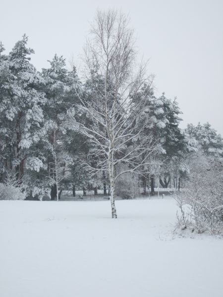 09.02.2007 - 14:32:22