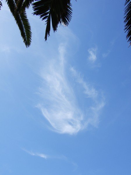 14.02.2008 - 16:19:55