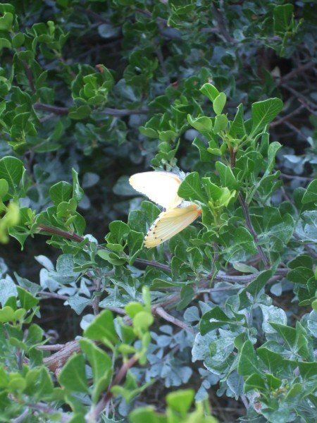 20.02.2008 - 18:09:13