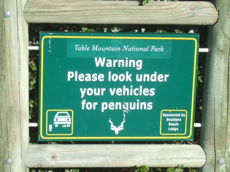 20.02.2008 - 17:42:17