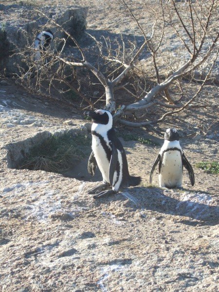 20.02.2008 - 17:46:44