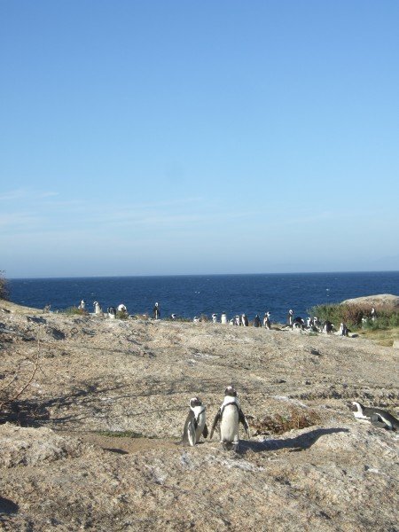 20.02.2008 - 17:49:50