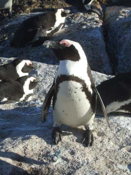 20.02.2008 - 17:55:05