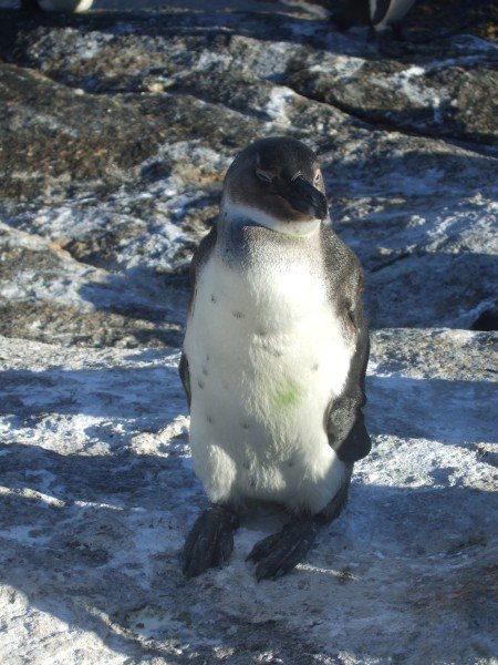 20.02.2008 - 17:55:14