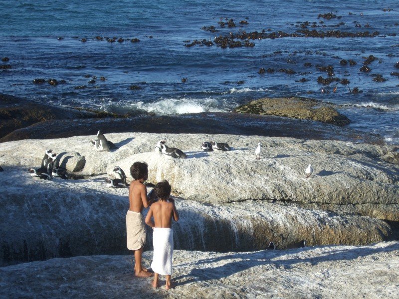 20.02.2008 - 18:06:35