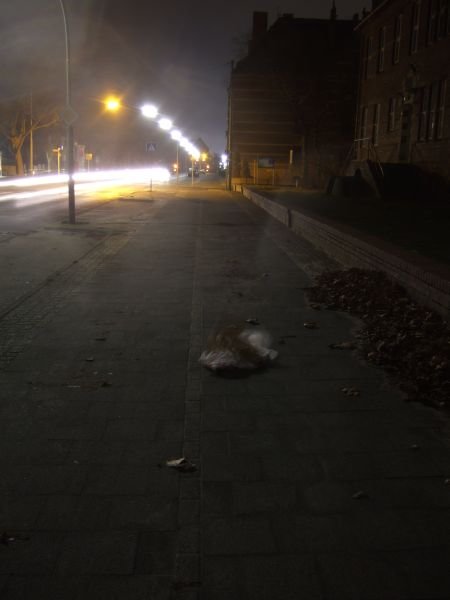 14.01.2007 - 00:40:58