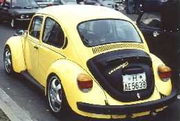 Gelb-Schwarzer-Renner